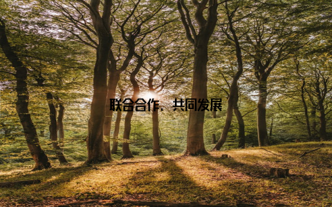 联合合作, 共同发展