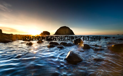 这些政策为畜牧药出口提供了有力保障