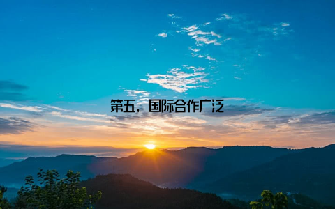 第五, 国际合作广泛