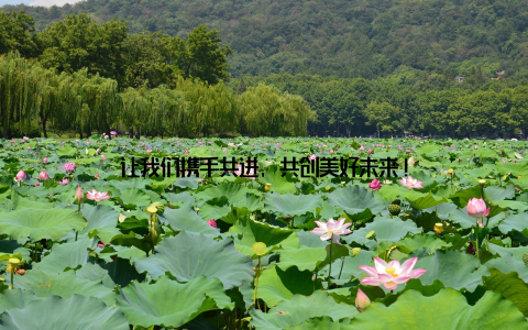 让我们携手共进, 共创美好未来!