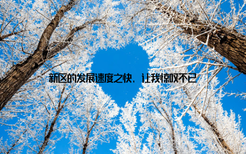 新区的发展速度之快, 让我惊叹不已