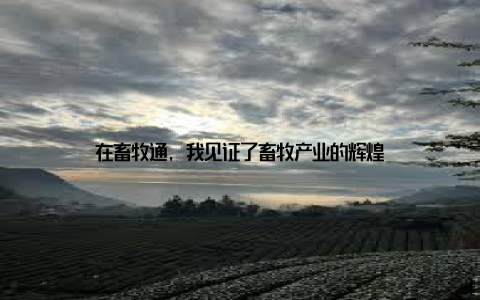 在畜牧通, 我见证了畜牧产业的辉煌