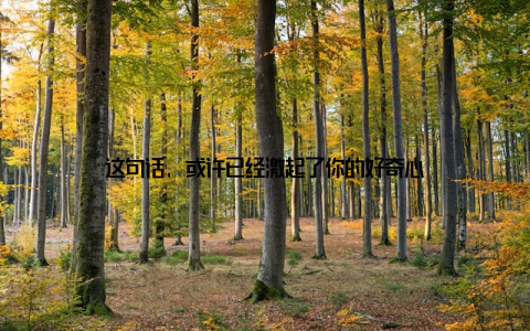 这句话, 或许已经激起了你的好奇心