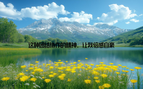 这种团结协作的精神, 让我倍感自豪