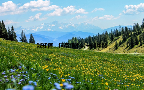 我知道, 这条路不会一帆风顺