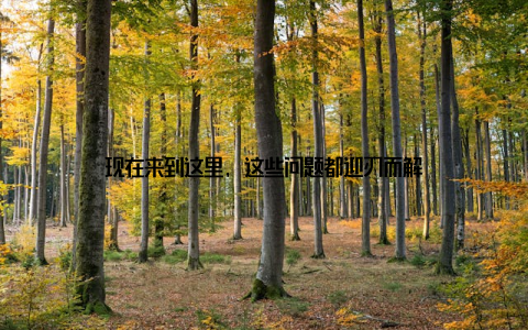 现在来到这里, 这些问题都迎刃而解