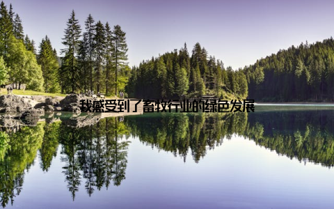 我感受到了畜牧行业的绿色发展