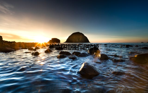 他她将加强行业监管