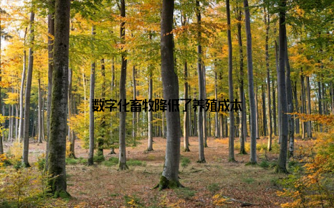 数字化畜牧降低了养殖成本