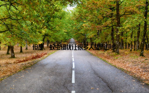 但是, 蚊虫侵扰让很多人望而却步