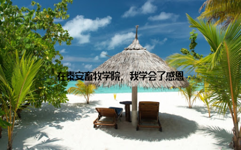 在泰安畜牧学院, 我学会了感恩