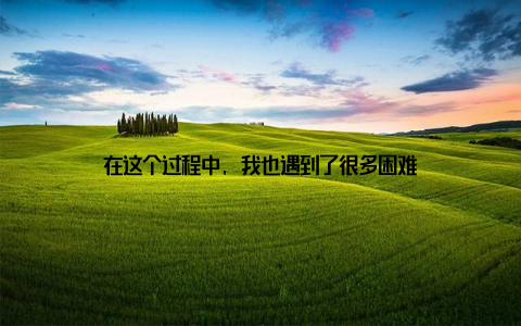 在这个过程中, 我也遇到了很多困难