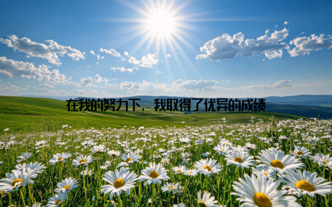 在我的努力下, 我取得了优异的成绩
