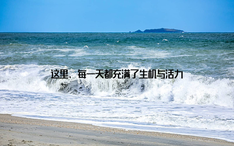 这里, 每一天都充满了生机与活力