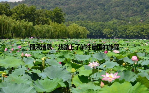 那天清晨, 我踏上了前往德国的旅程