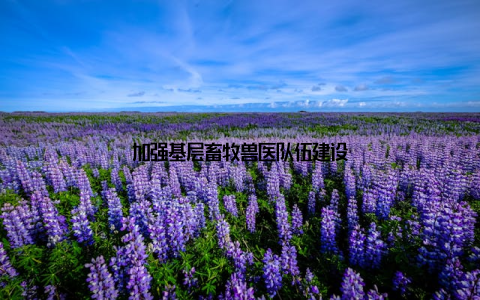 加强基层畜牧兽医队伍建设