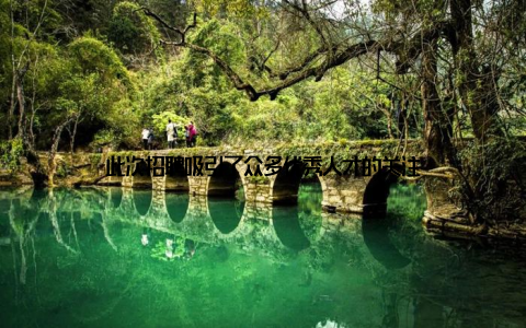 此次招聘吸引了众多优秀人才的关注