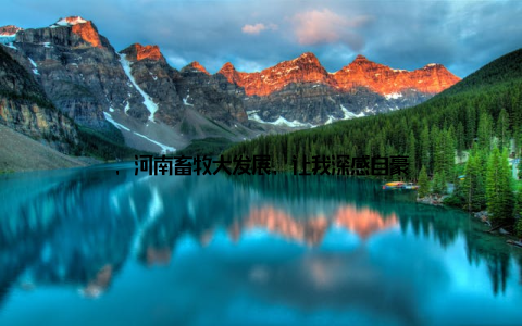 , 河南畜牧大发展, 让我深感自豪