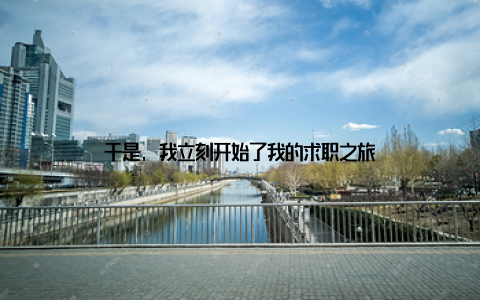 于是, 我立刻开始了我的求职之旅