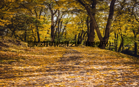 回顾这段草种选择之旅, 我感慨万分