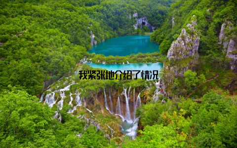 我紧张地介绍了情况