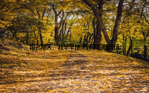 报名那天, 我早早地来到了招聘现场