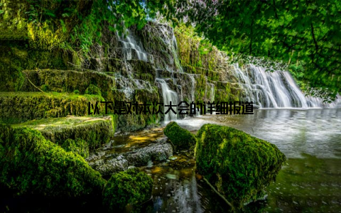 以下是对本次大会的详细报道