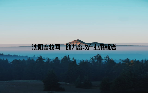 沈阳畜牧网, 助力畜牧产业展新篇