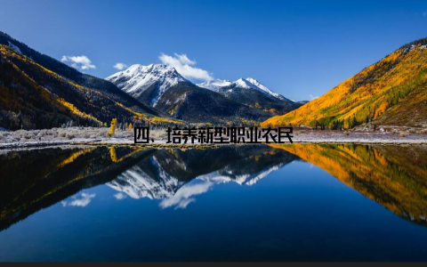 四、培养新型职业农民