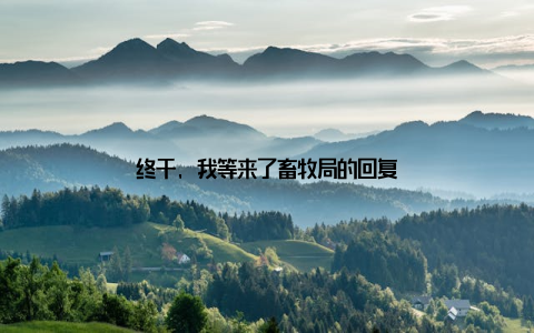 终于, 我等来了畜牧局的回复