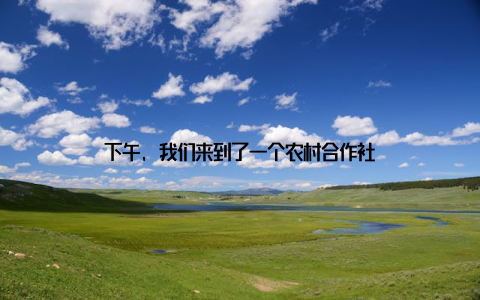 下午, 我们来到了一个农村合作社