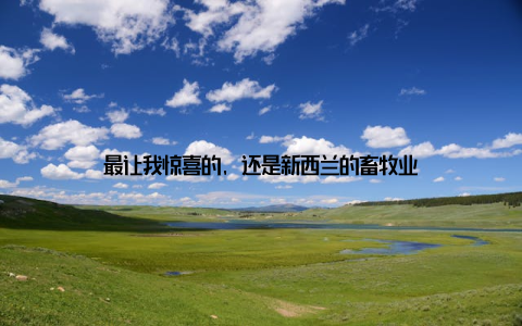 最让我惊喜的, 还是新西兰的畜牧业