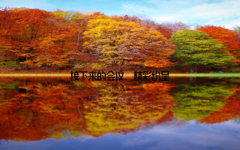 接下来的会议, 精彩纷呈