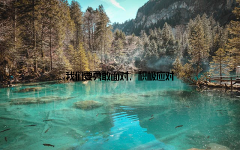 我们要勇敢面对, 积极应对