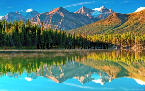 听到这里, 我心中充满了感动