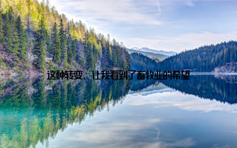 这种转变, 让我看到了畜牧业的希望