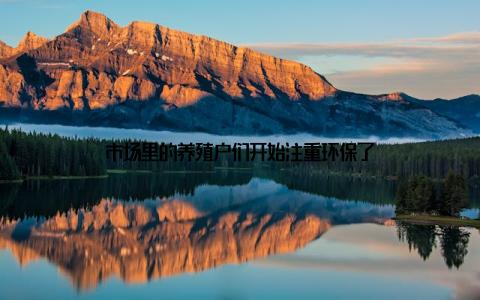 市场里的养殖户们开始注重环保了