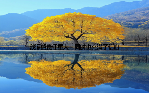 我深感责任重大, 同时也充满了信心