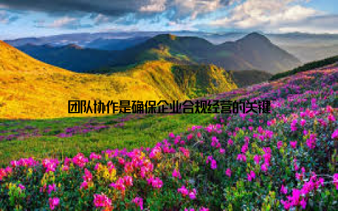 团队协作是确保企业合规经营的关键