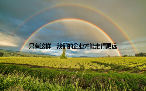 只有这样, 我们的企业才能走得更远