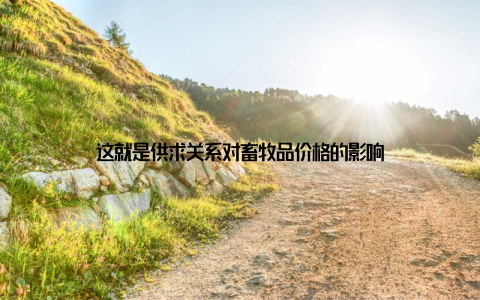 这就是供求关系对畜牧品价格的影响