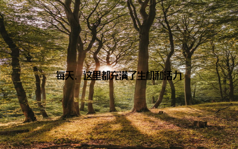 每天, 这里都充满了生机和活力