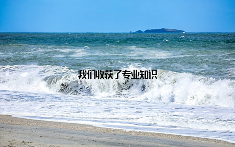 我们收获了专业知识