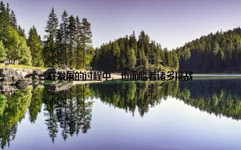 在发展的过程中, 也面临着诸多挑战