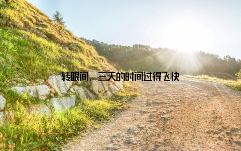 转眼间, 三天的时间过得飞快