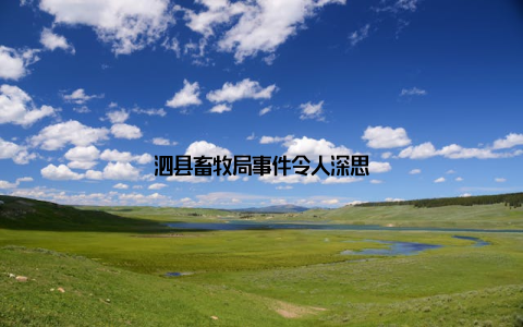 泗县畜牧局事件令人深思