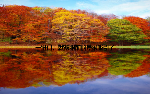 一进门, 就被眼前的景象吸引了