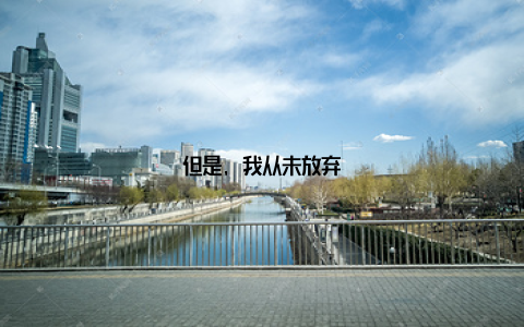 但是, 我从未放弃