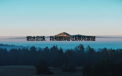 抵达会场, 我被眼前的场景所震撼