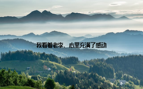 我看着老李, 心里充满了感动